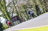 Oulton-Park-20th-March-2020;PJ-Motorsport-Photography-2020